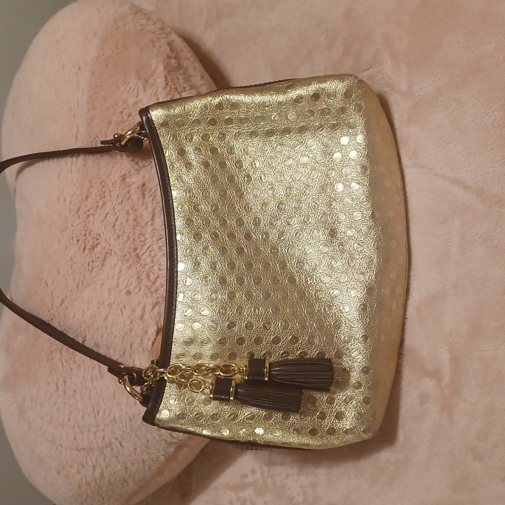 Adorable Brahmin purse